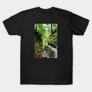 Puck's Glen, Scotland T-Shirt